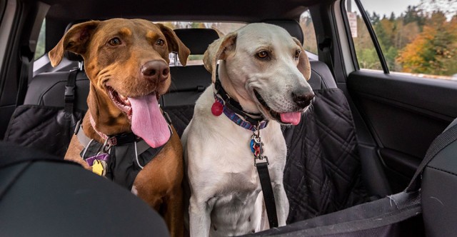 Tips On Seat Covers For Your Canine Travel Buddies